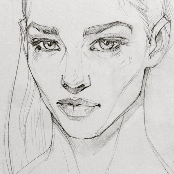 Референсы головы человека анатомия