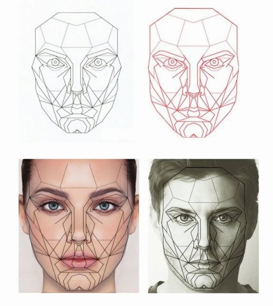 Правильный контур лица в портрете