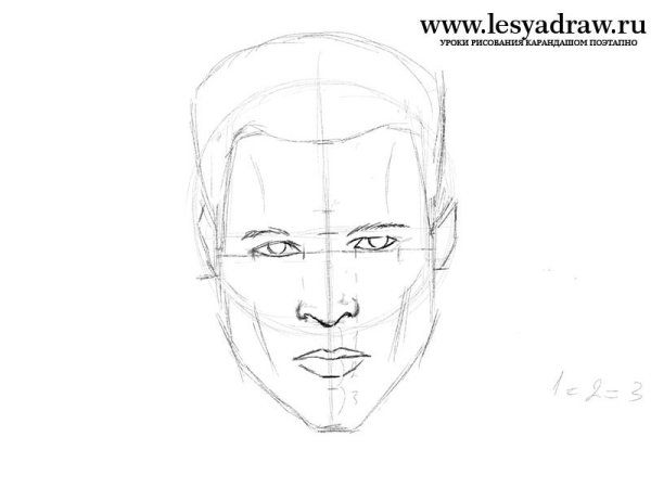 Правильное рисование лица