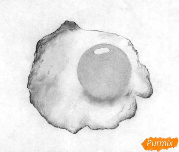 Рисунок карандашом яишнеца