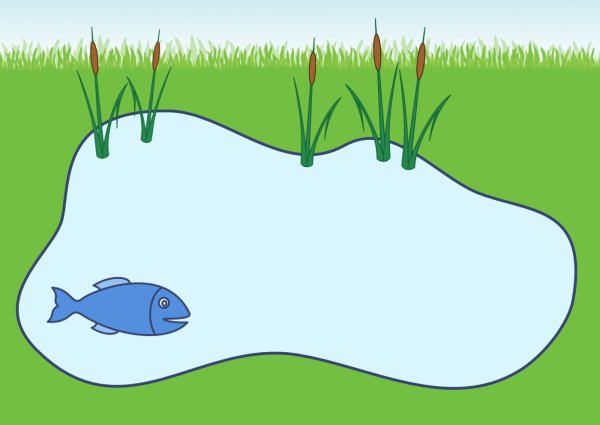 Дети на озере