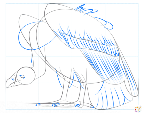 Гриф рисунок рисунок