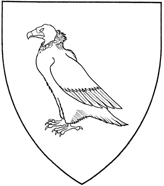 Нарисовать грифа