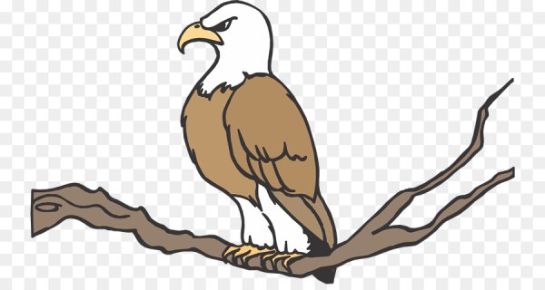 Коршун мультяшный