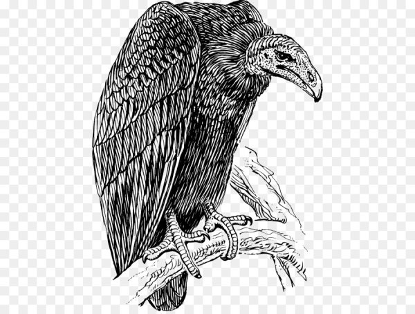 Culture Vulture идиома