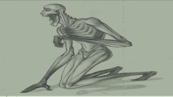 Скромник раскраска