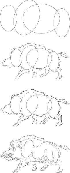 Как нарисовать кабана