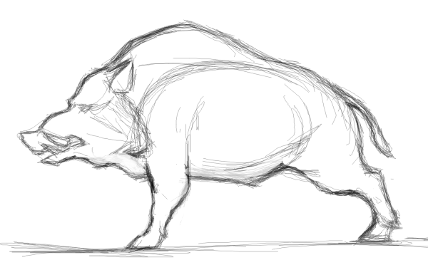 Кабан эскиз