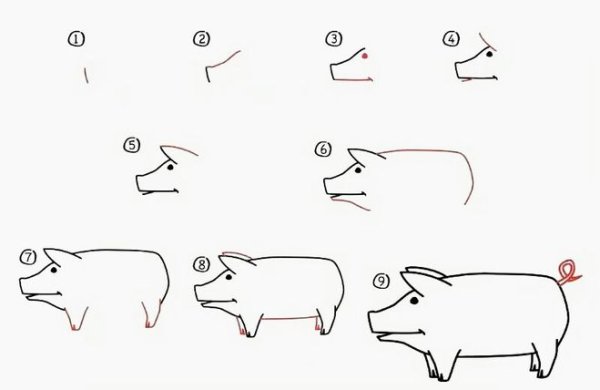 Рисуем свинью пошагово