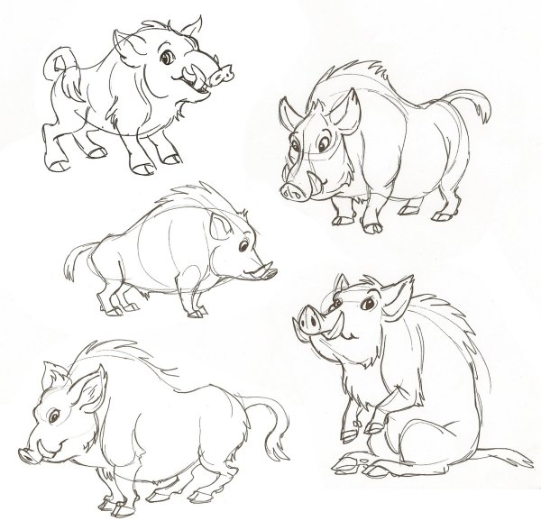 Кабан рисунок карандашом для детей