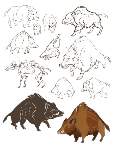 Вепрь сбоку кабан стилизация