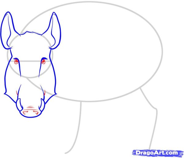 Поэтапное рисование кабана