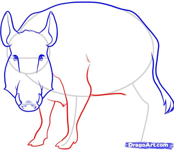 Как нарисовать кабана