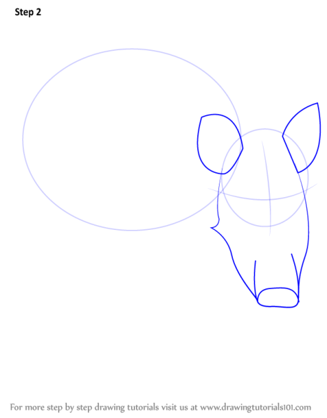 Поэтапное рисование кабана