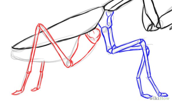 Поэтапное рисование богомола