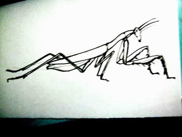 Богомол карандашом