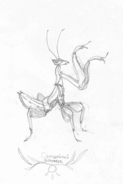 Сверчок карандашом