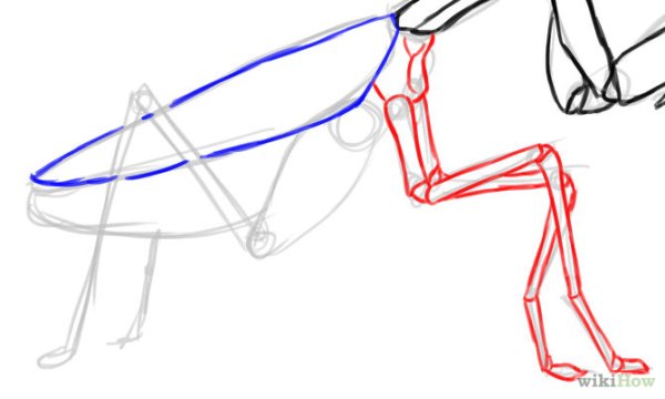 Богомол карандашом