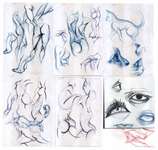 Король Лев лайны шрам