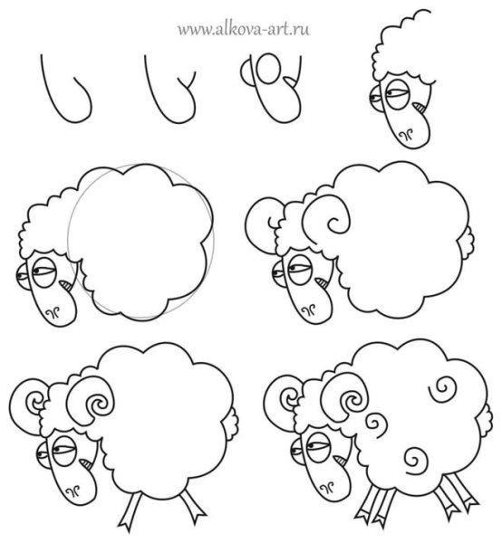 Овца поэтапное рисование