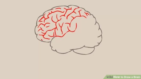 Мозг простым карандашом