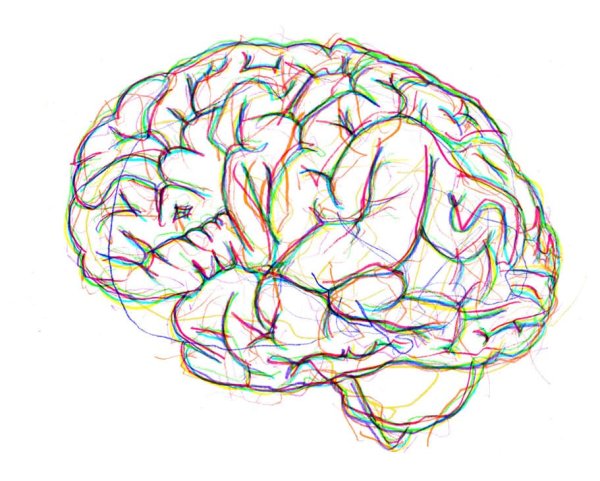 Мозг нарисованный