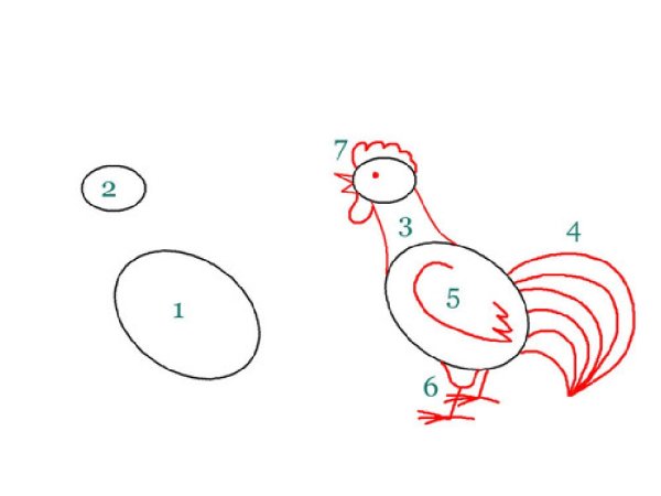 Поэтапное рисование петуха