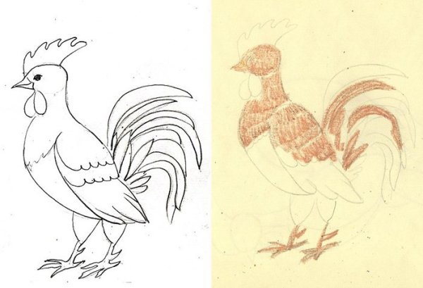 Как нарисовать петуха