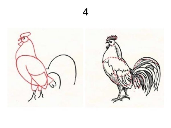 Схема рисования петуха для средней группы