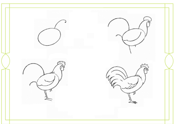 Схема рисования петуха для средней группы