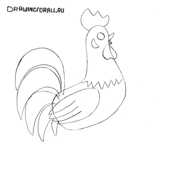 Поэтапное рисование петуха