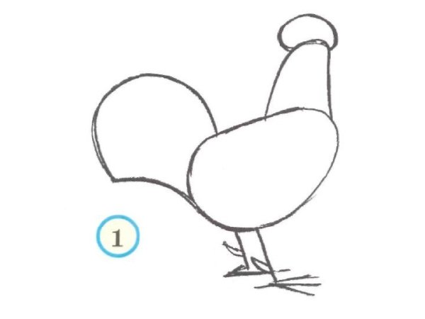 Рисование домашних птиц в старшей группе