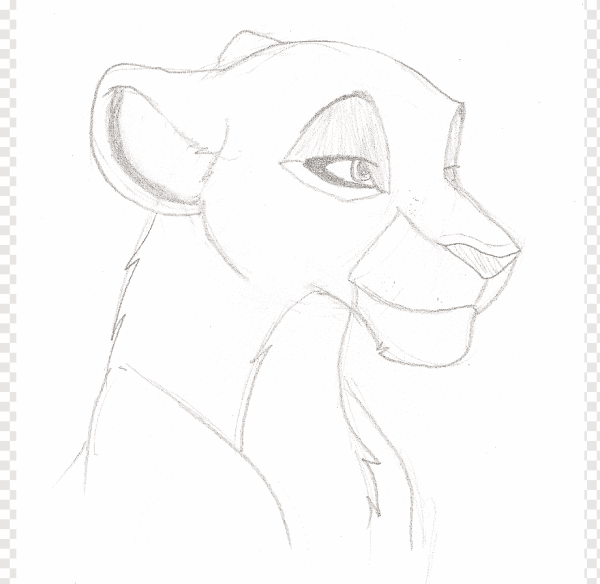 Морда львицы