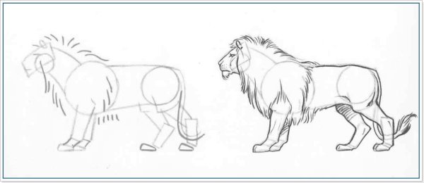 Схема рисования Льва