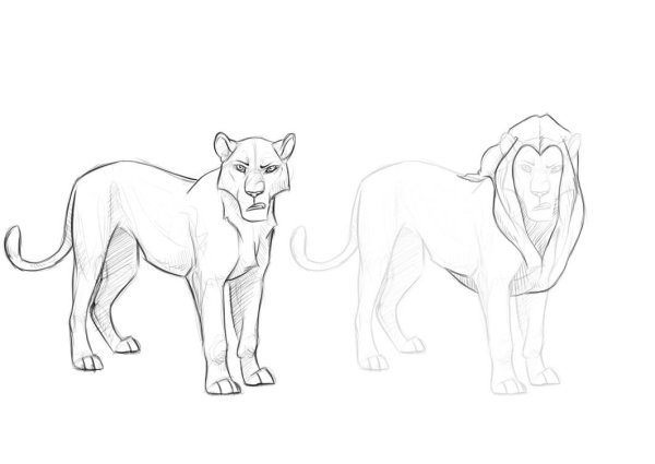 Лайны Король Лев референс