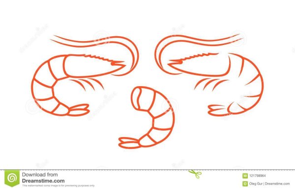 Нарисованная креветка из тик тока