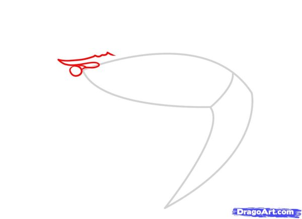 Креветка рисунок поэтапно