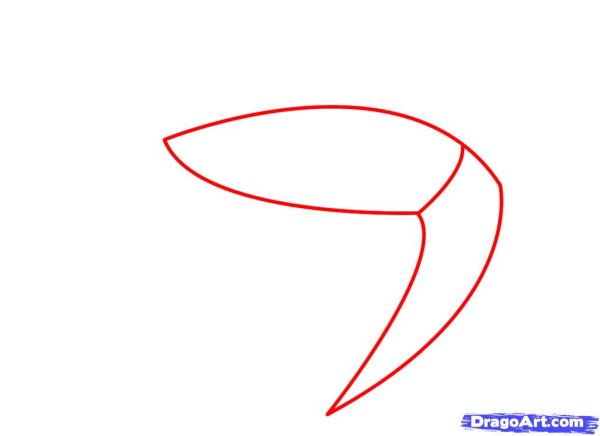 Нарисовать креветку пошагово