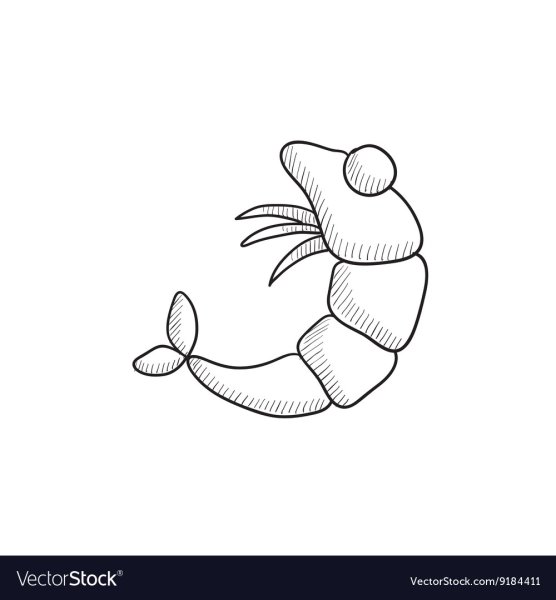 Поэтапное рисование краба