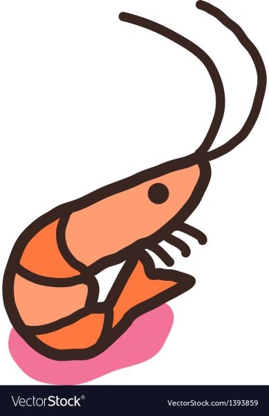 Креветка скетч вектор