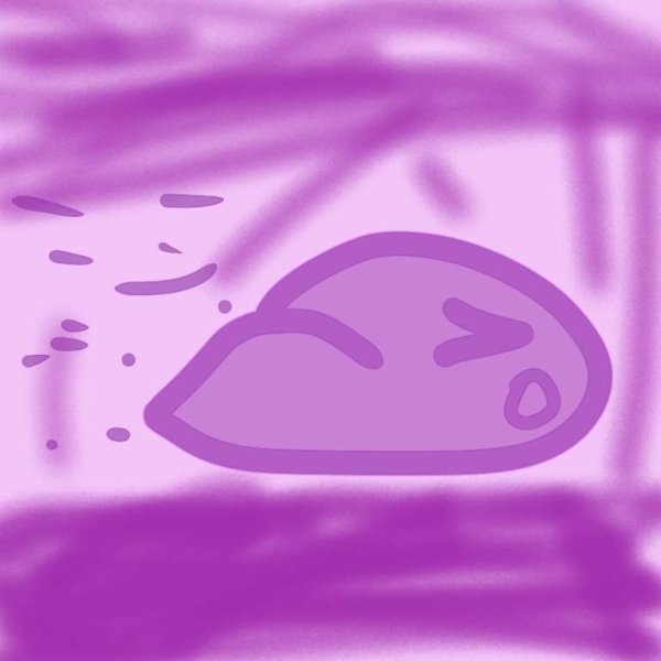 СЛАЙМ для девочек