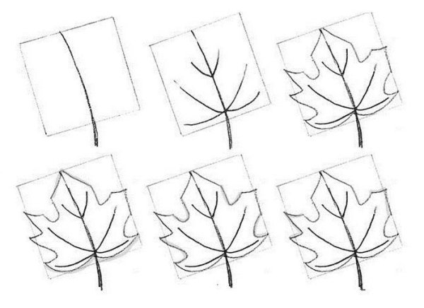Поэтапный рисунок листа клена
