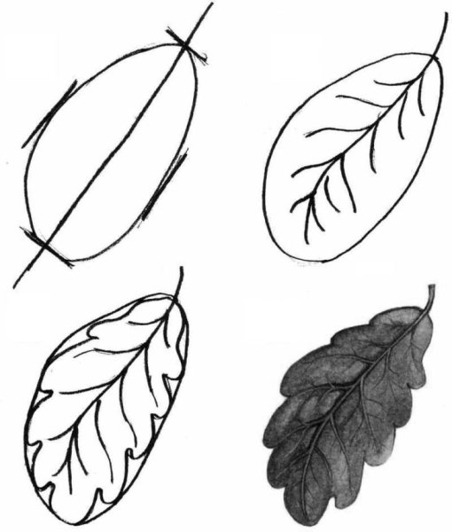 Рисование листьев