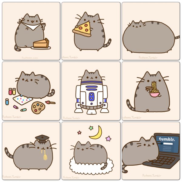 Пушин Кэт 2020