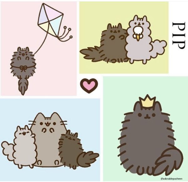 Пушин Кэт и Сторми