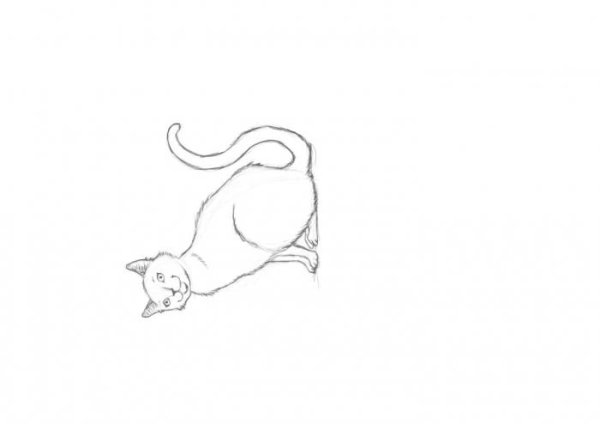 Как рисовать кису