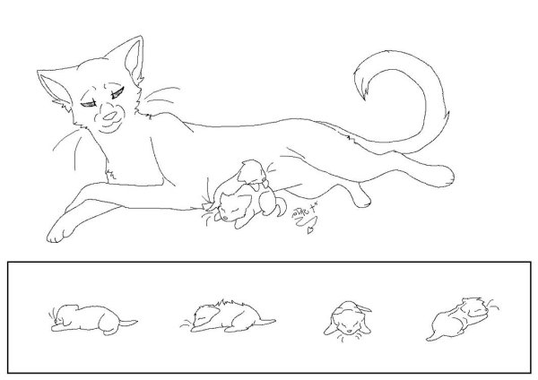 Коты Воители лайны кошка с котятами