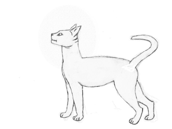 Красивые рисунки карандашом легкие