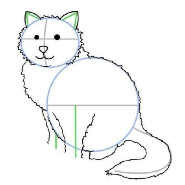 Дорисуй кошку