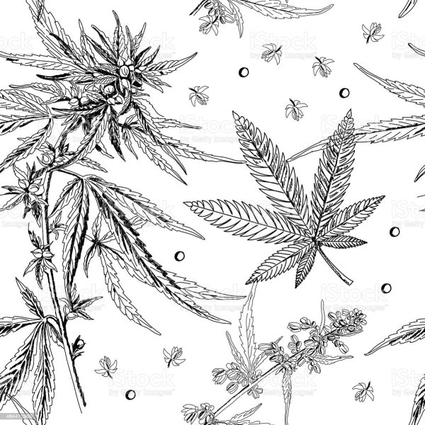 Марихуана Графика